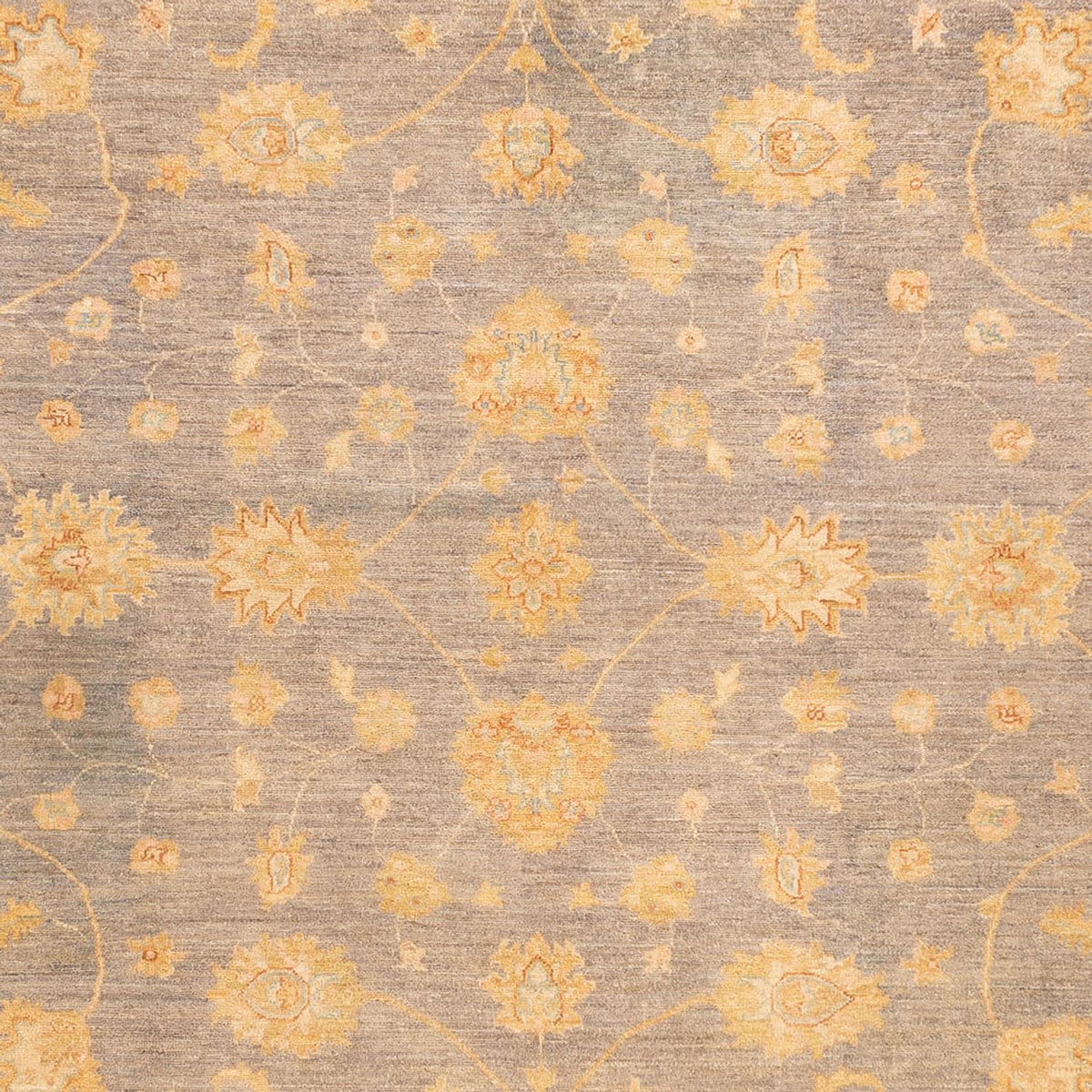 Ziegler Carpet - 351 x 254 cm - beige