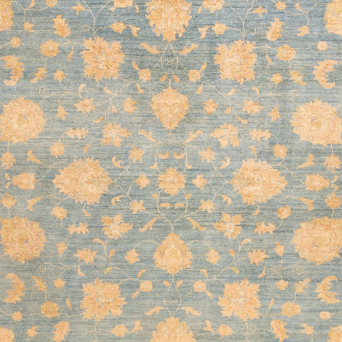 Ziegler Carpet - 342 x 255 cm - lyseblå
