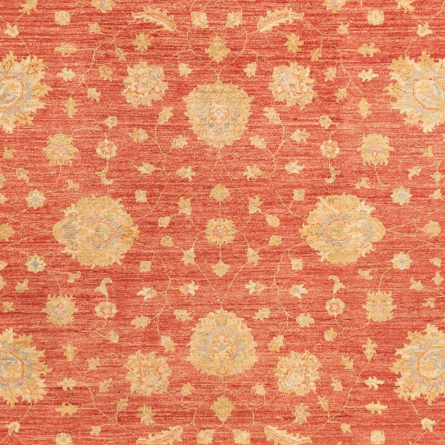 Ziegler Carpet - 344 x 257 cm - rød