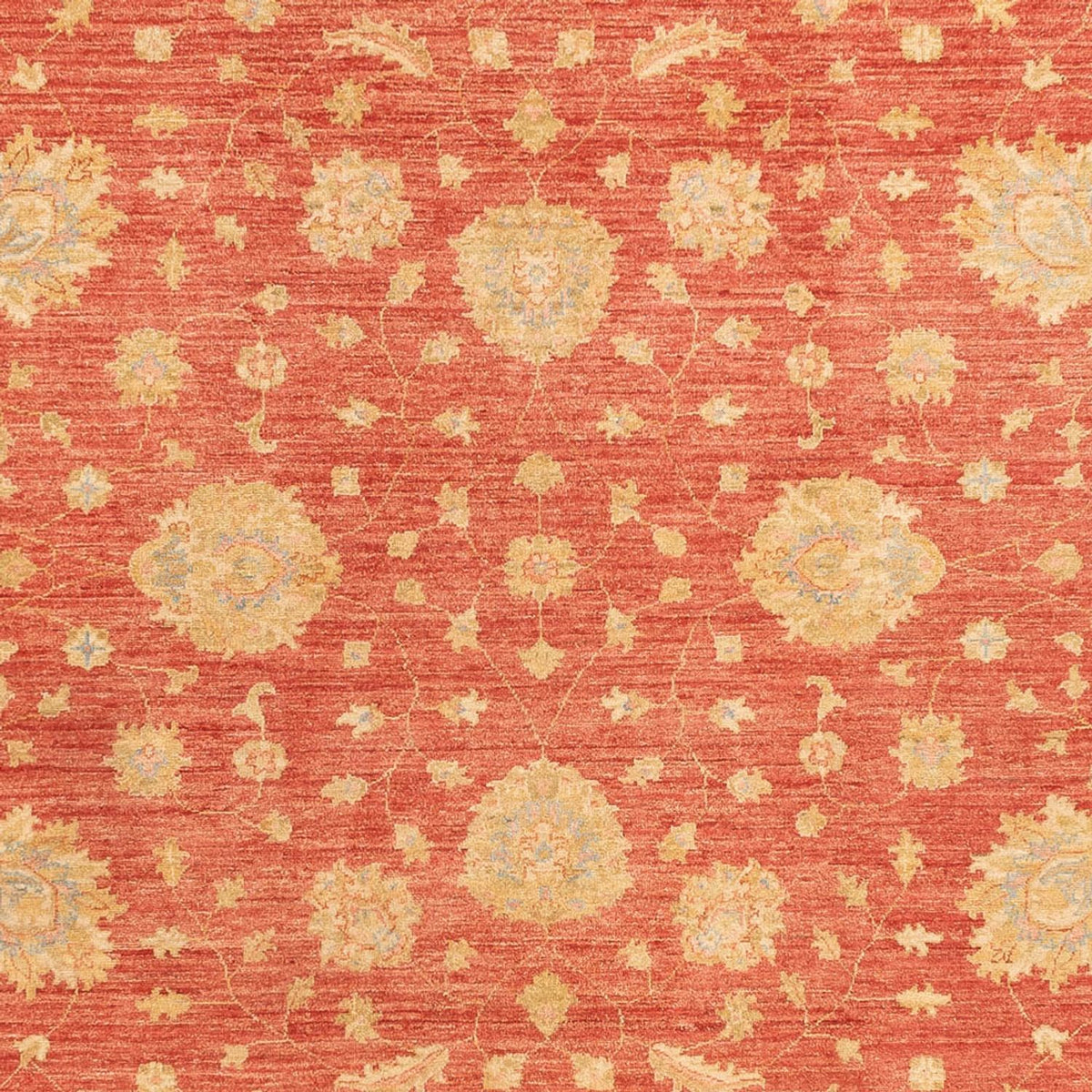 Ziegler Carpet - 344 x 257 cm - rød