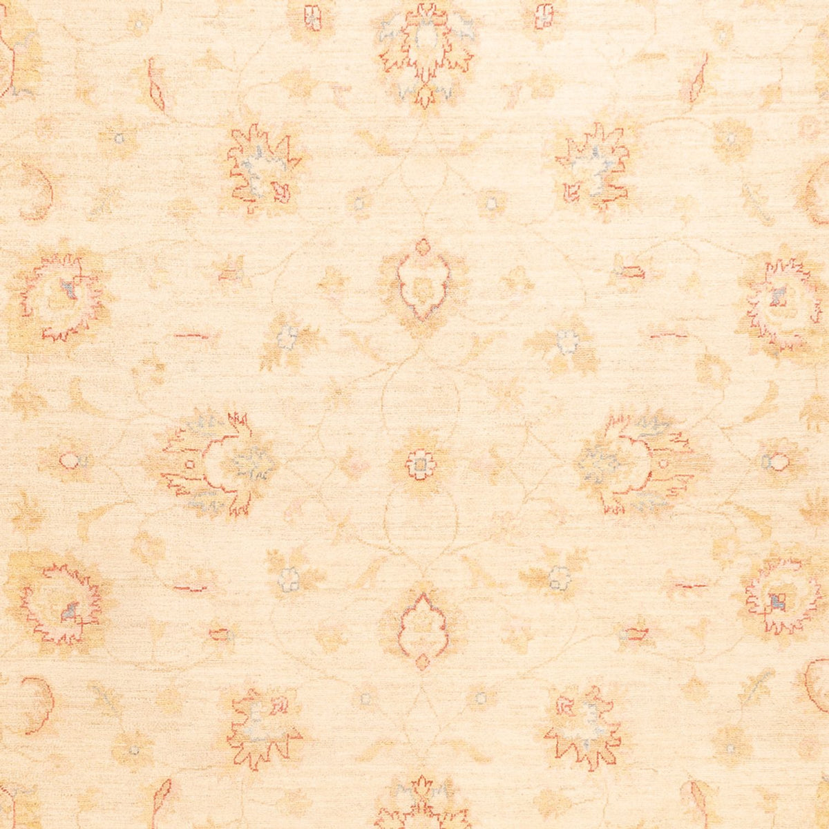 Ziegler Carpet - 338 x 251 cm - beige