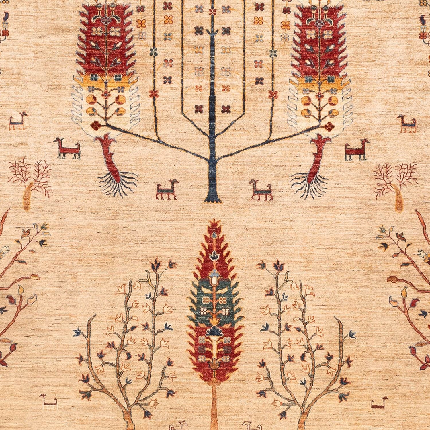 Ziegler Carpet - Ariana - 352 x 241 cm - beige