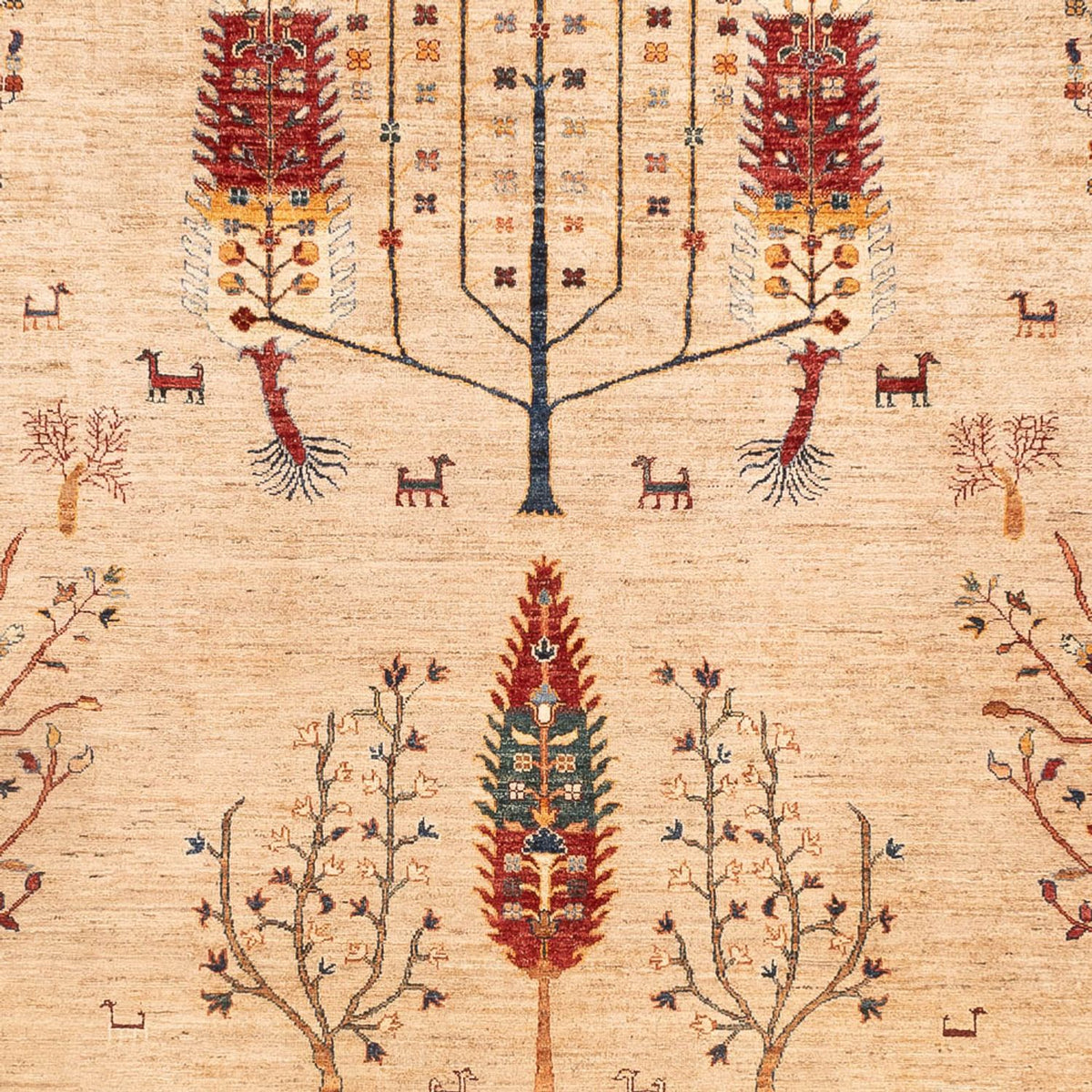 Ziegler Carpet - Ariana - 352 x 241 cm - beige