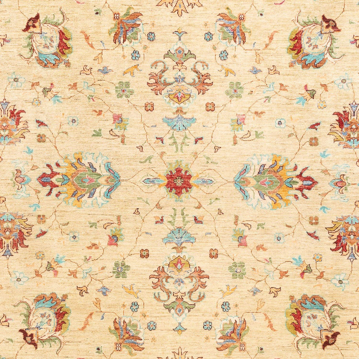 Ziegler Carpet - Ariana - 346 x 241 cm - beige