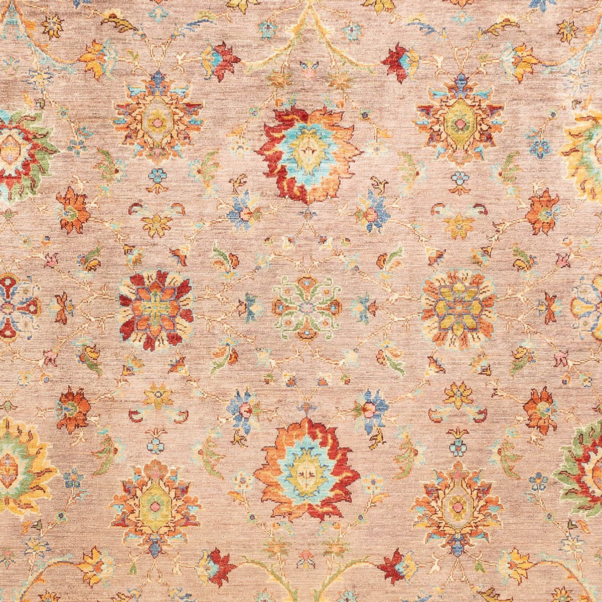 Ziegler Carpet - Ariana - 347 x 240 cm - lys brun