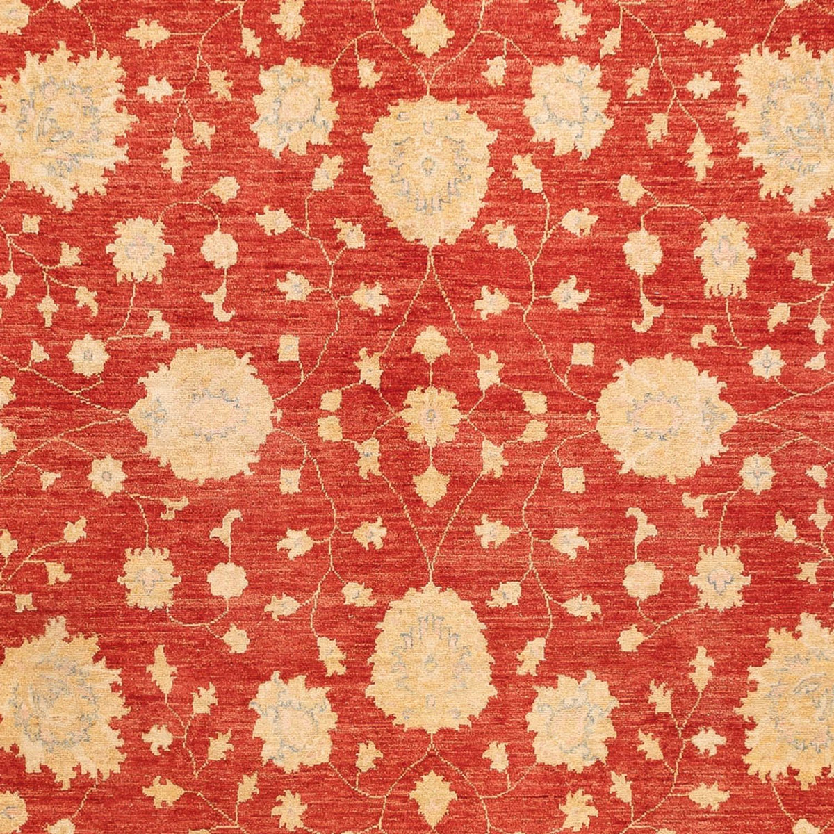 Ziegler Carpet - 355 x 254 cm - rød
