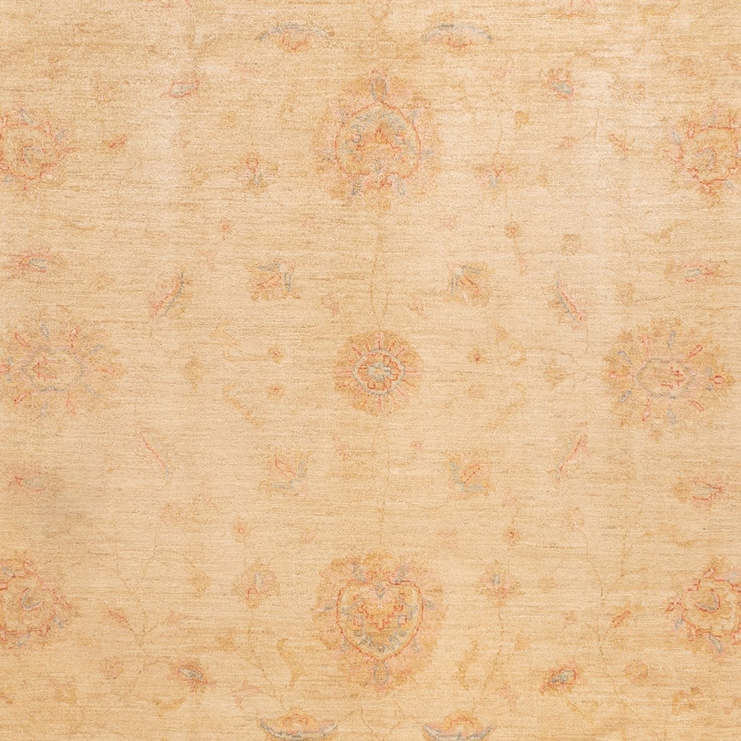 Ziegler Carpet - 350 x 252 cm - beige