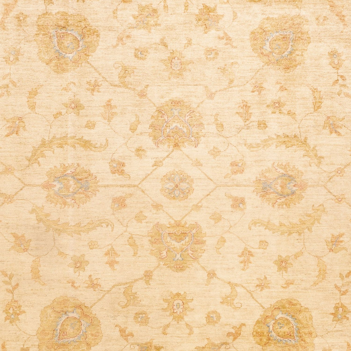 Ziegler Carpet - 345 x 255 cm - beige