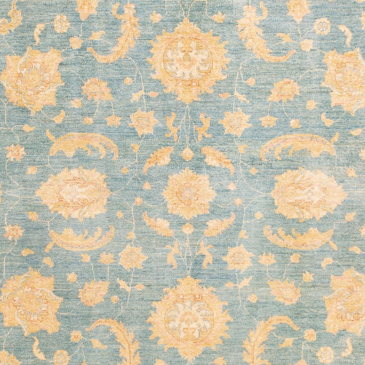 Ziegler Carpet - 343 x 249 cm - lyseblå