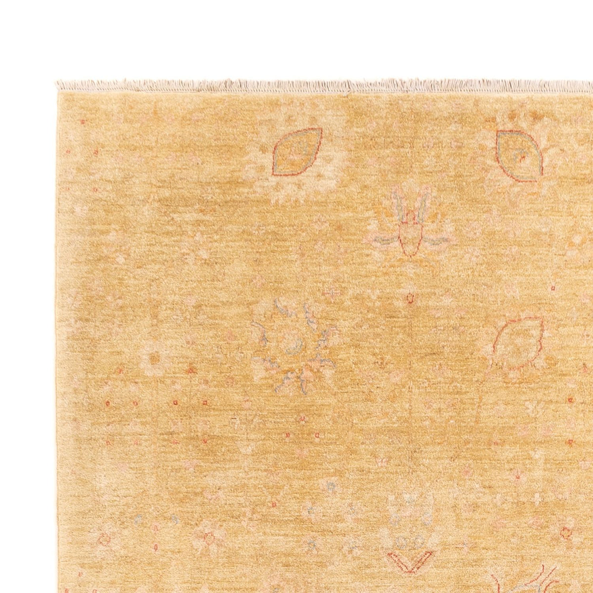 Ziegler Carpet 248x323cm - Orientalsk tæppe