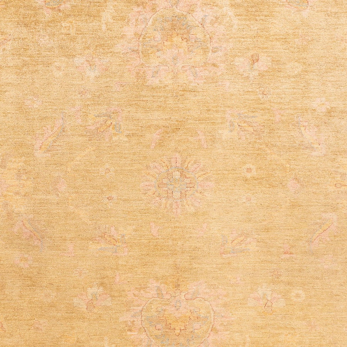 Ziegler Carpet - 348 x 260 cm - beige