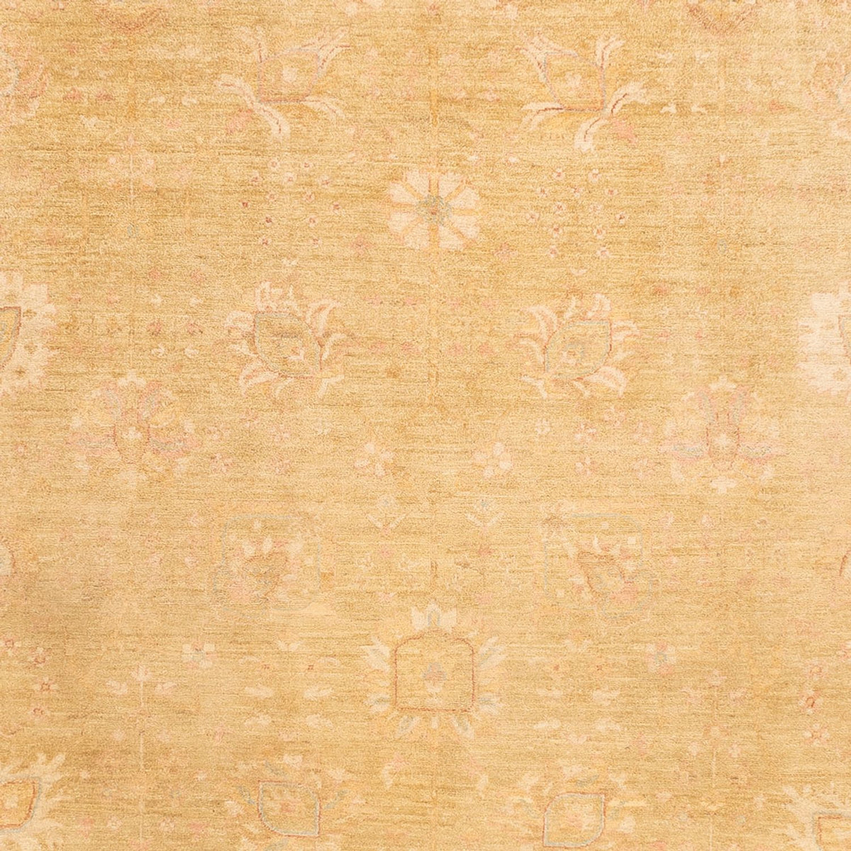 Ziegler Carpet - 339 x 258 cm - beige