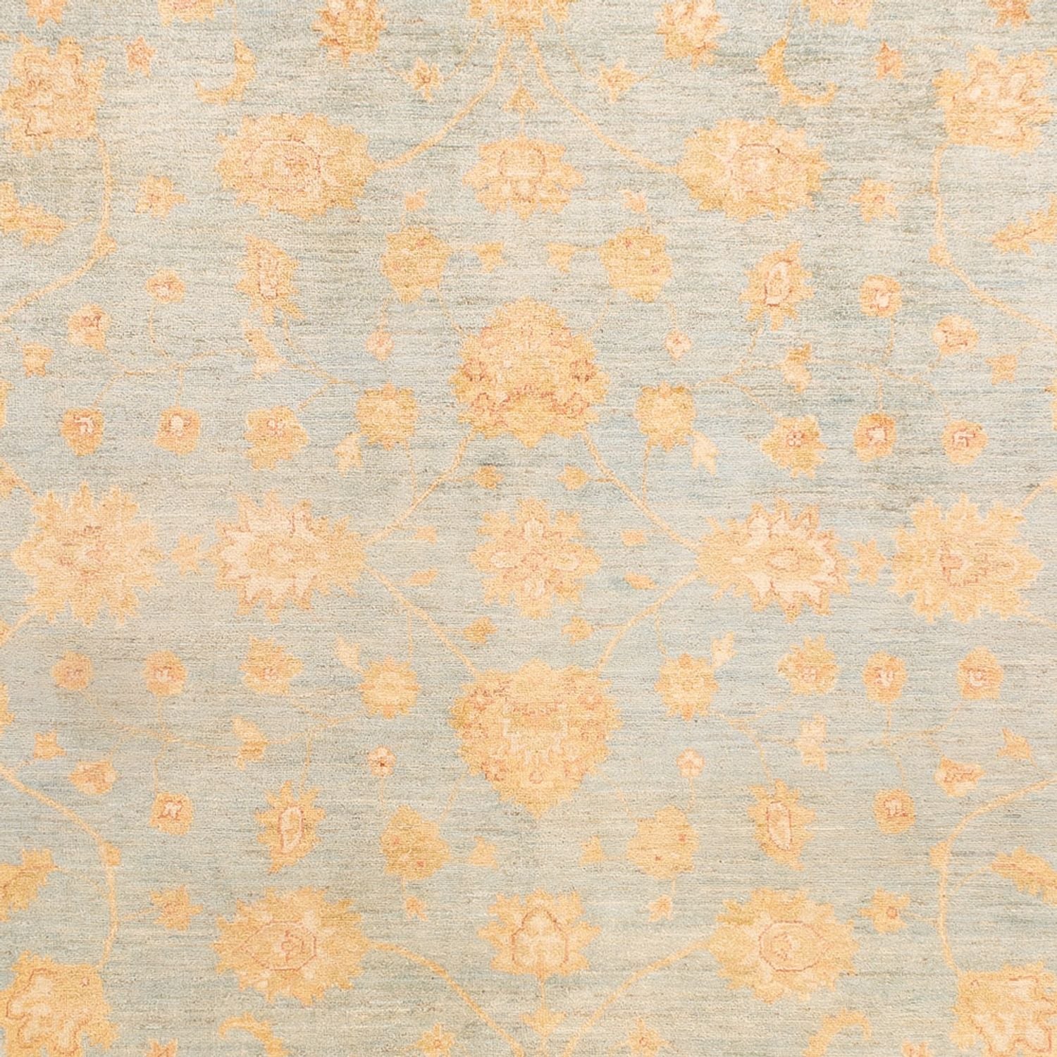 Ziegler Carpet - 342 x 257 cm - lyseblå