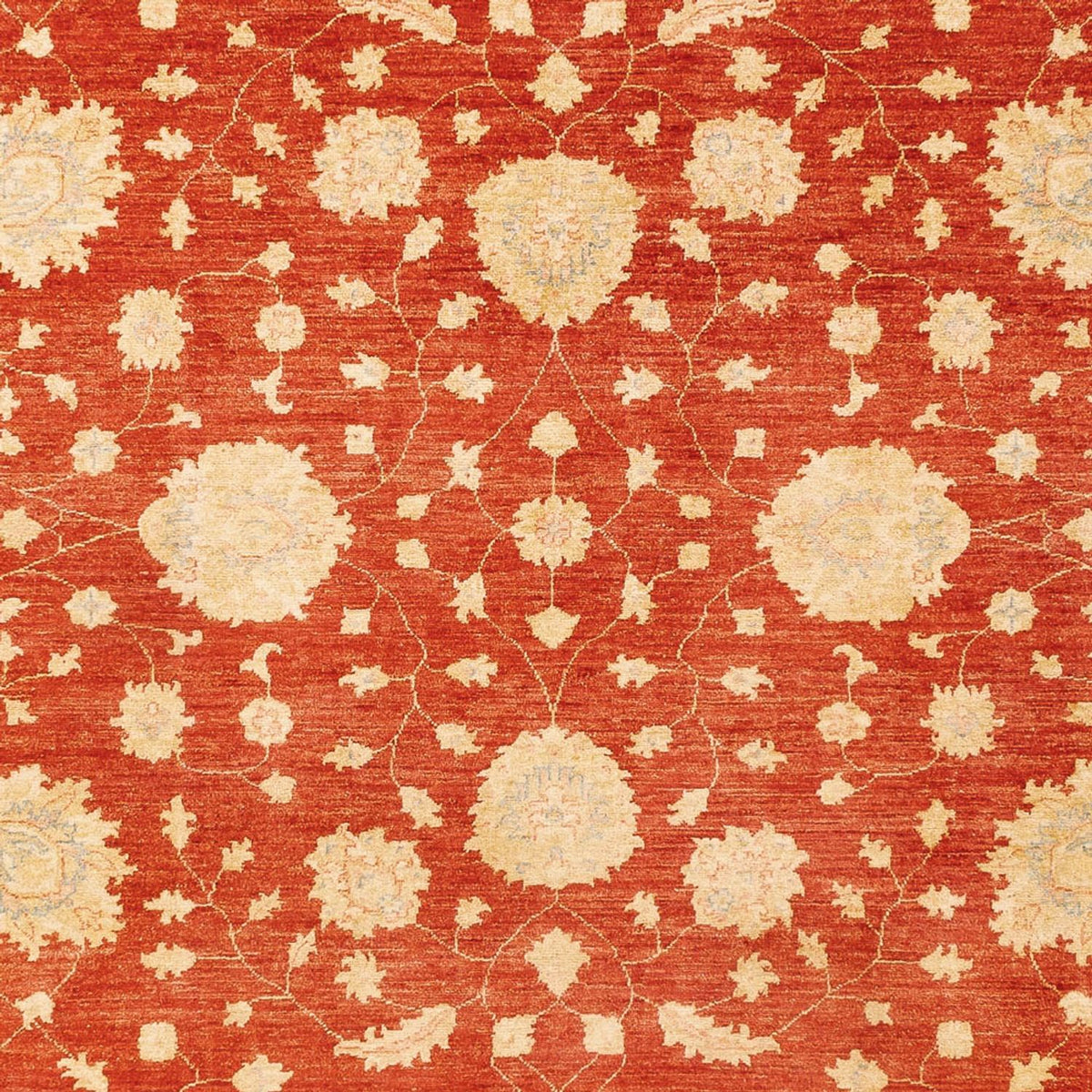 Ziegler Carpet - 336 x 258 cm - rød