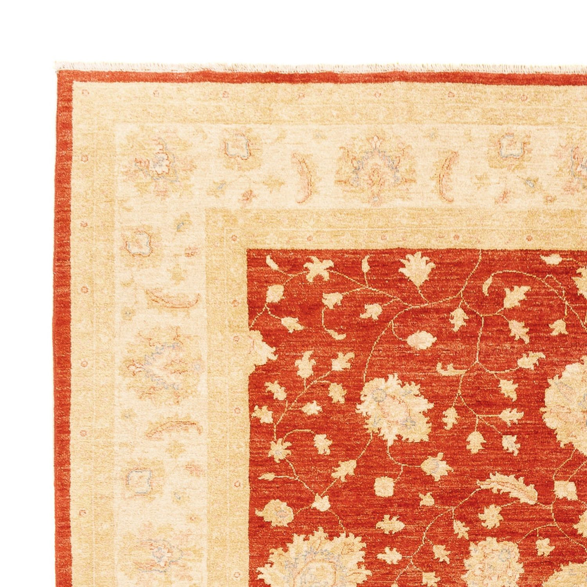 Ziegler Carpet - 336 x 258 cm - rød