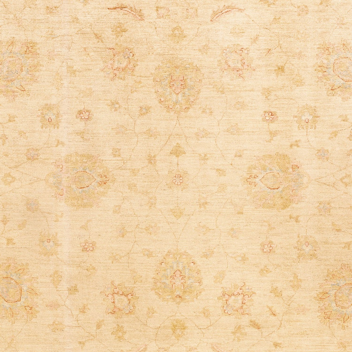 Ziegler Carpet - 348 x 257 cm - beige