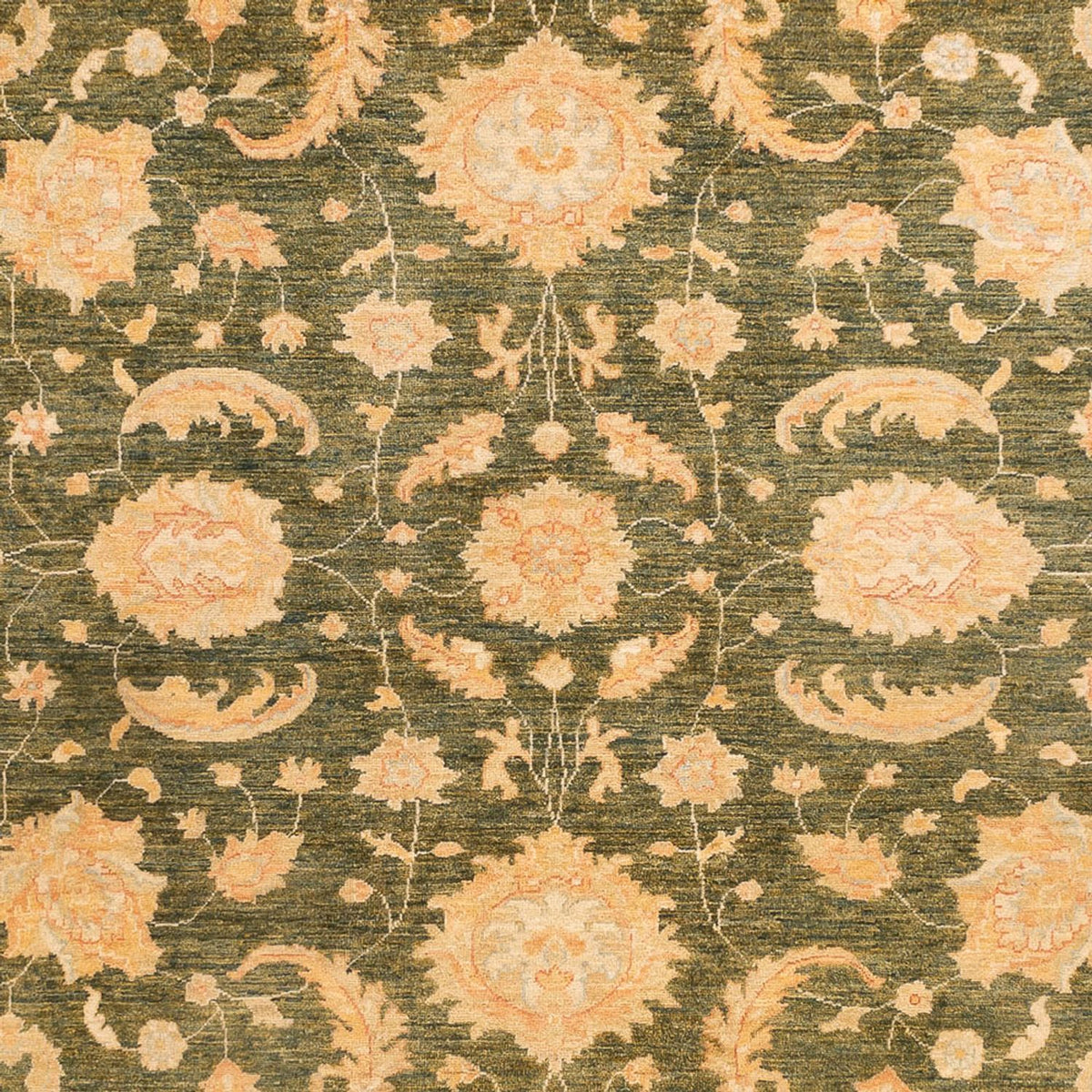 Ziegler Carpet - 346 x 258 cm - olivengrøn