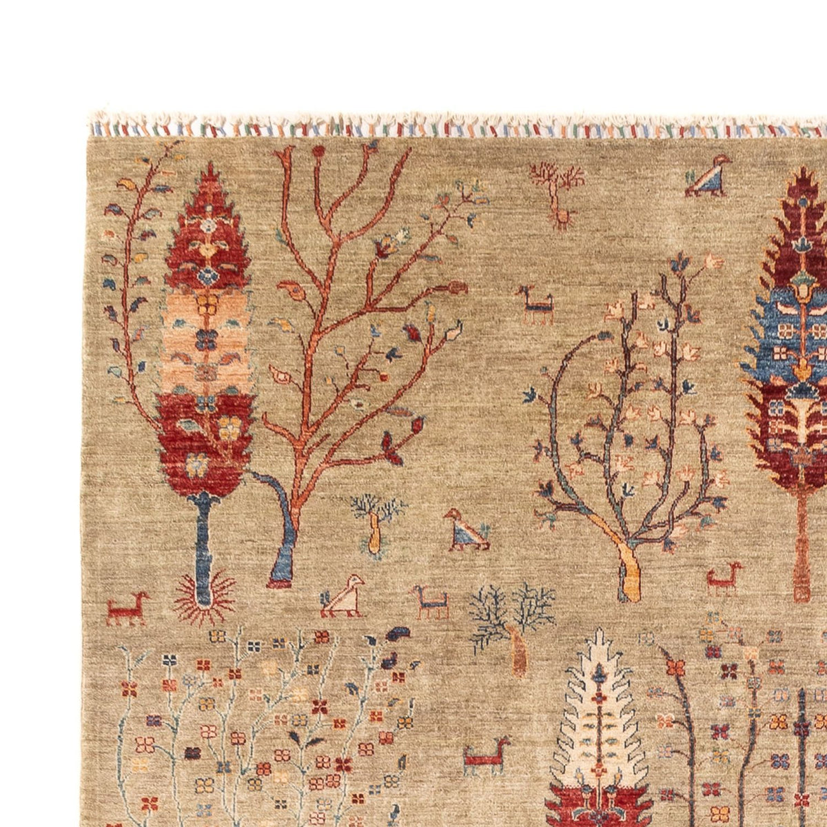 Ziegler Carpet - Ariana - 342 x 246 cm - sand