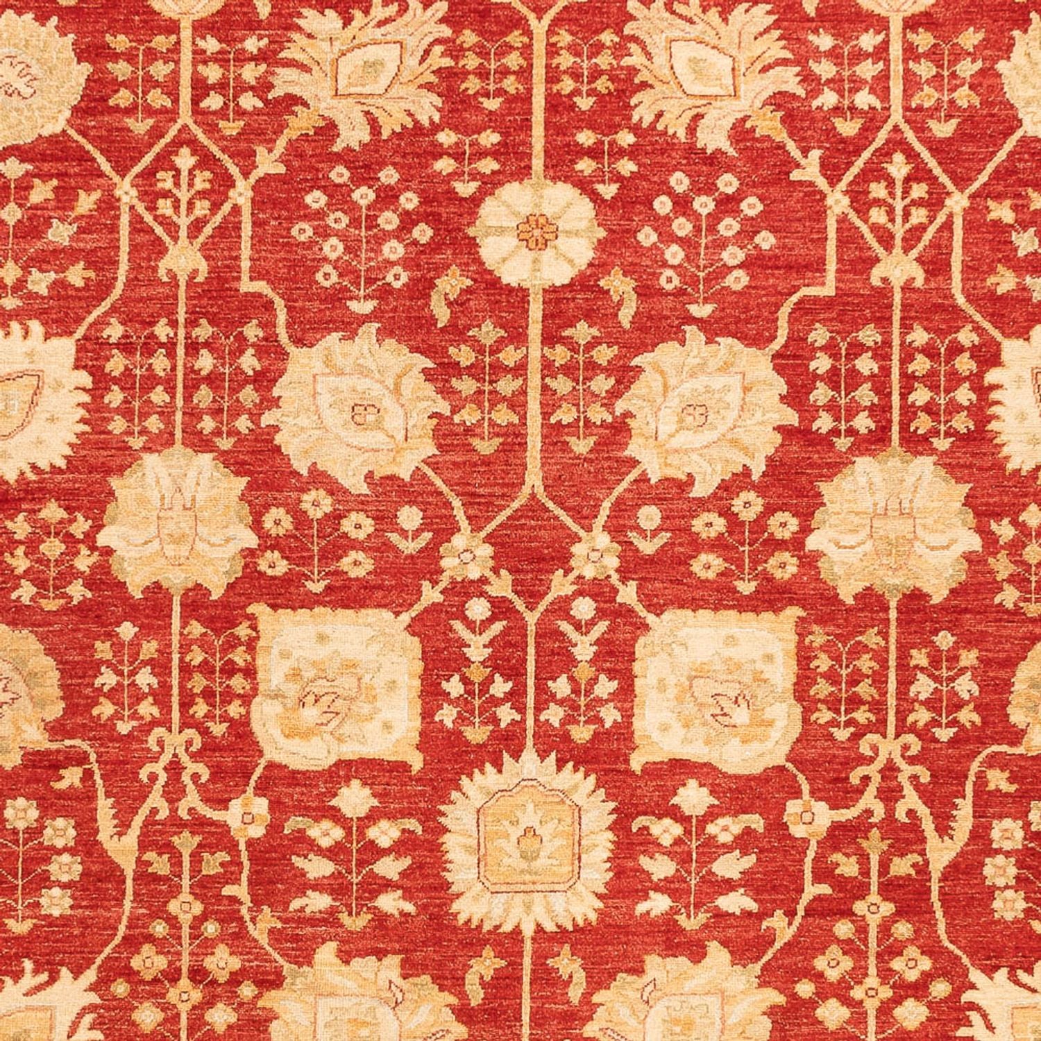 Ziegler Carpet - 340 x 254 cm - rød