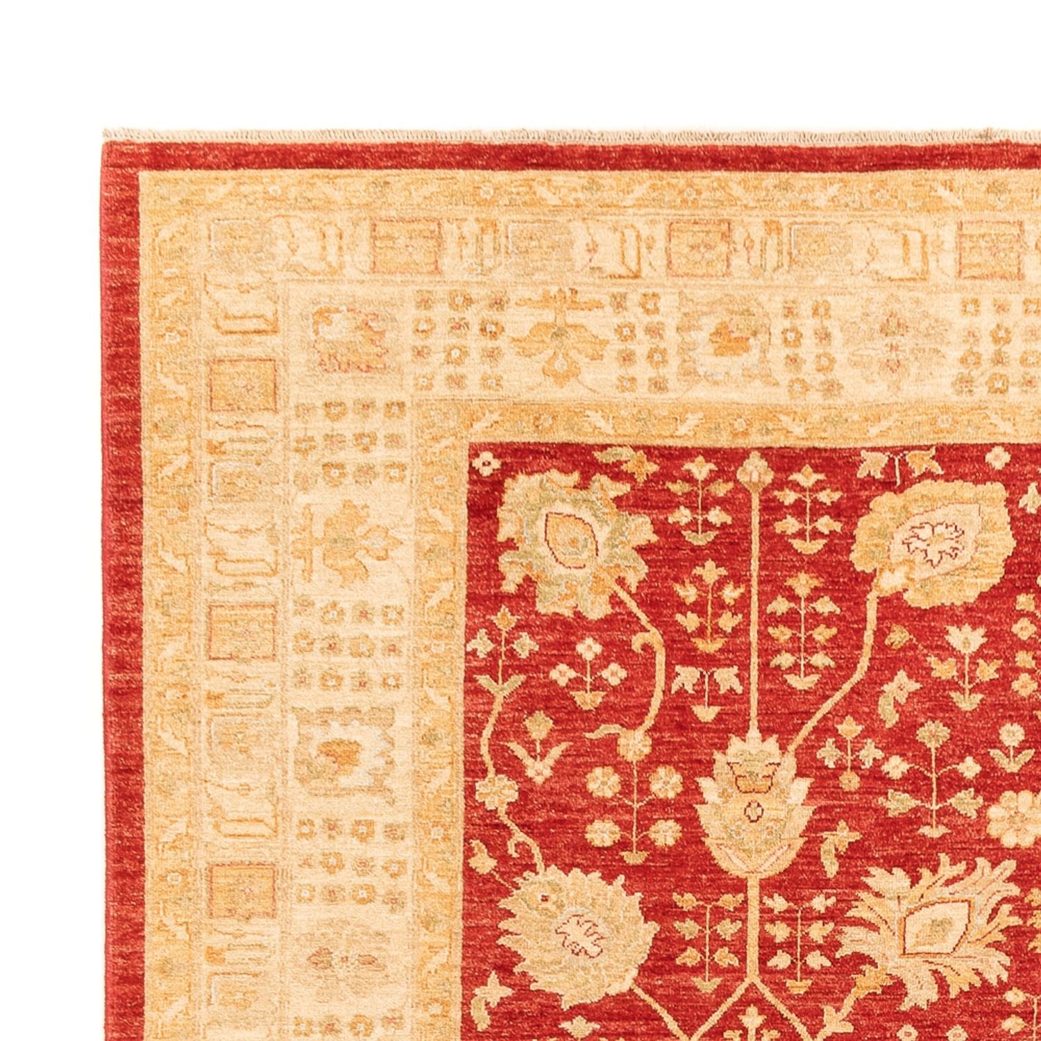 Ziegler Carpet - 340 x 254 cm - rød