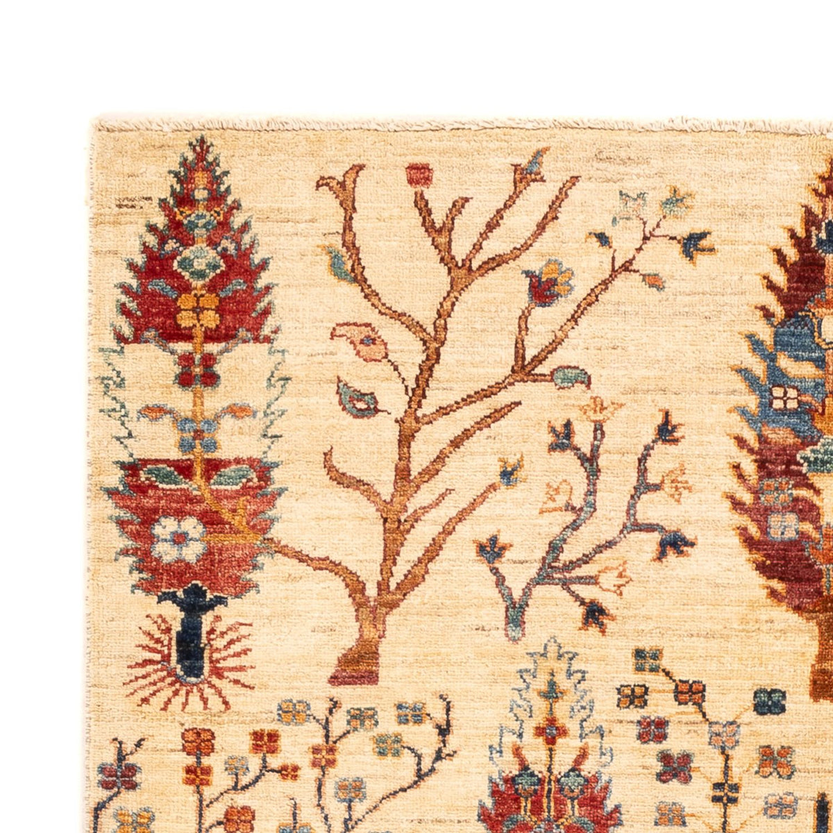 Ziegler Carpet - Ariana - 178 x 125 cm - beige