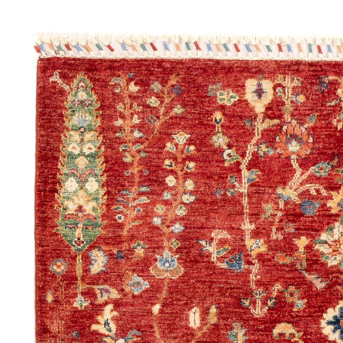 Ziegler Carpet - Ariana - 177 x 123 cm - rød