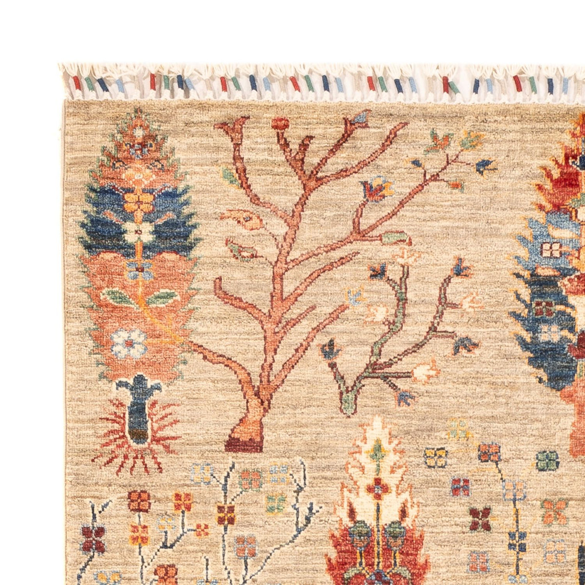 Ziegler Carpet - Ariana - 180 x 119 cm - flerfarvet