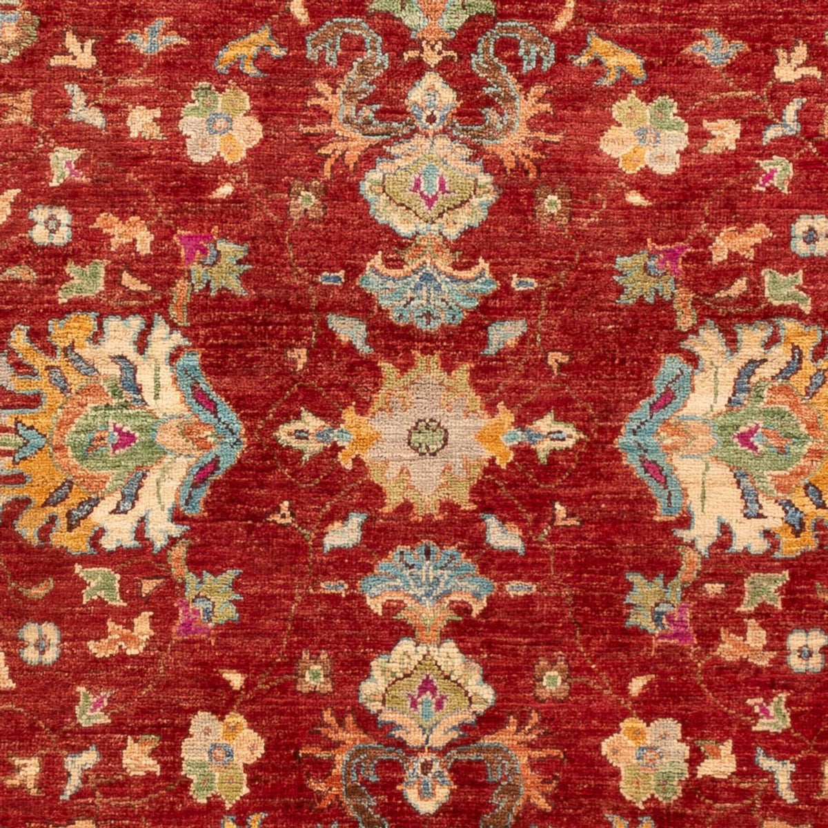 Ziegler Carpet - Ariana - 180 x 126 cm - rød