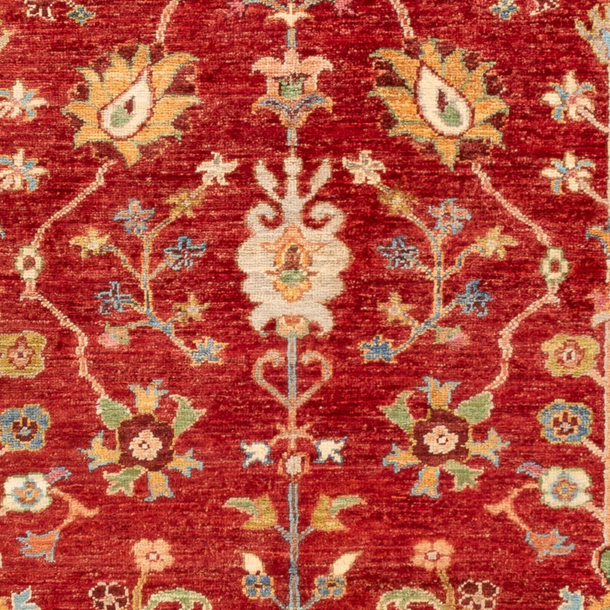 Ziegler Carpet - Ariana - 175 x 125 cm - rød