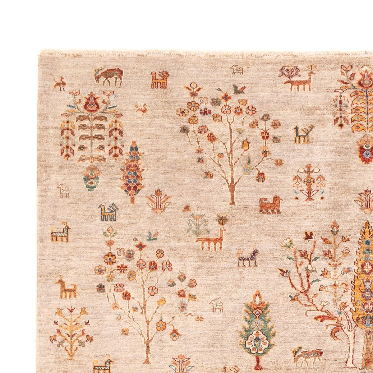 Ziegler Carpet - Ariana - 292 x 204 cm - pink