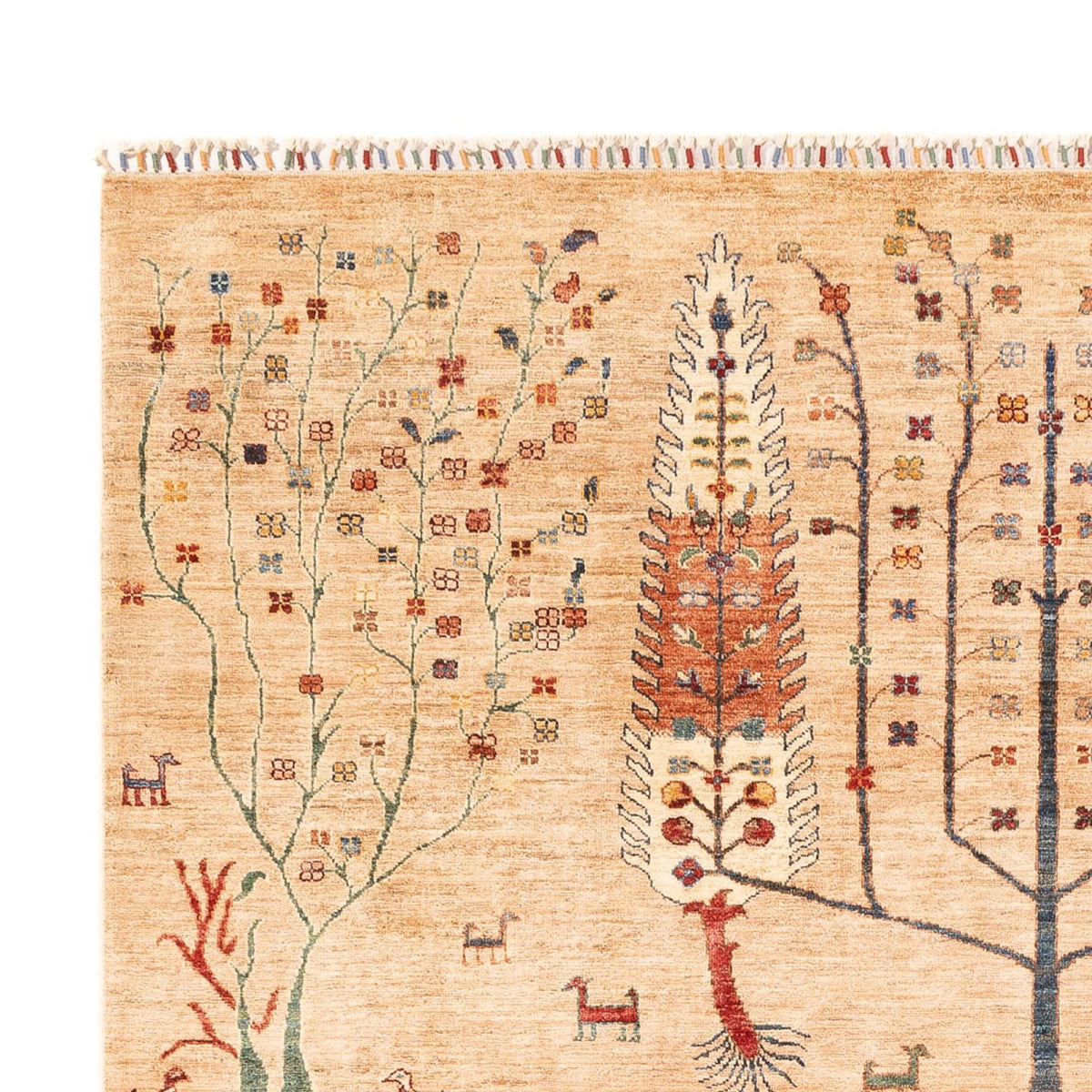 Ziegler Carpet - Ariana - 295 x 204 cm - flerfarvet