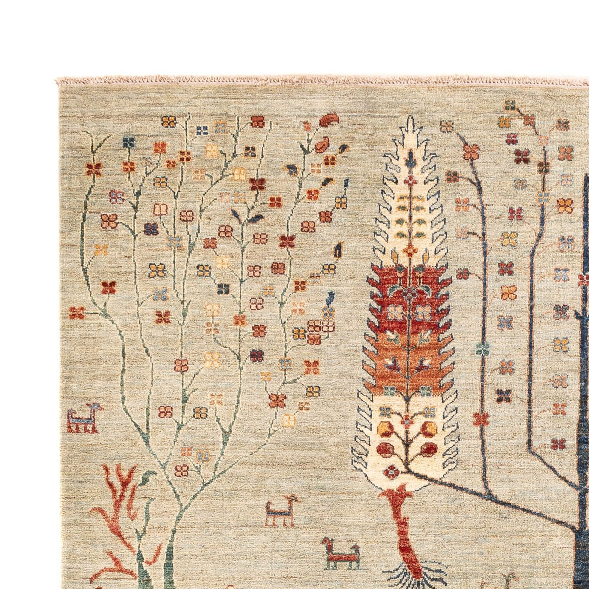 Ziegler Carpet - Ariana - 292 x 207 cm - lysegrå