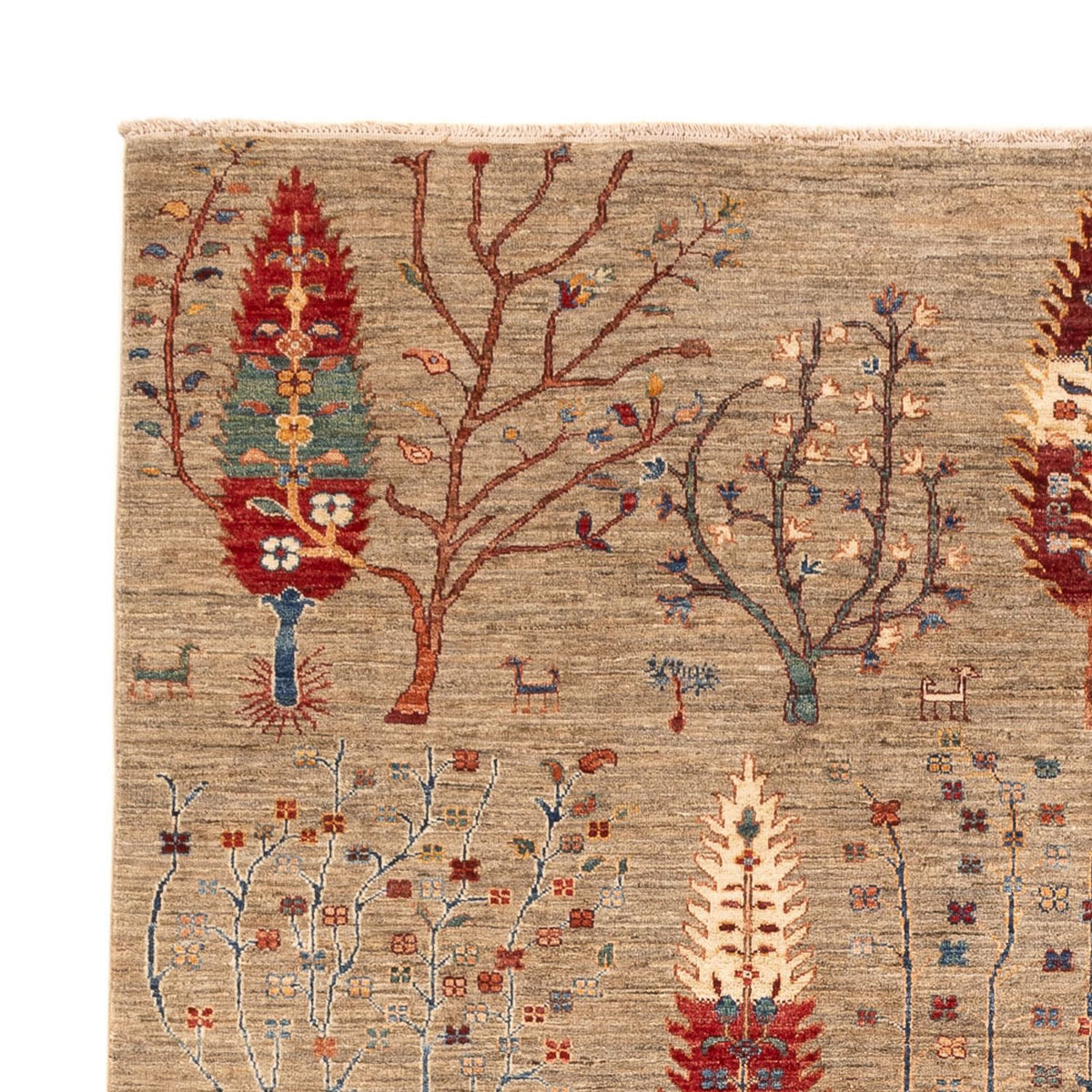 Ziegler Carpet - Ariana - 291 x 211 cm - mørk beige