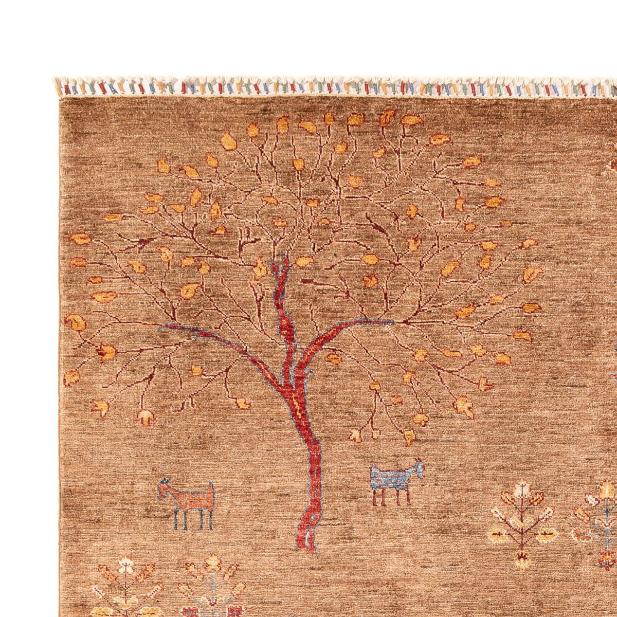 Ziegler Carpet - Ariana - 298 x 206 cm - mørk beige