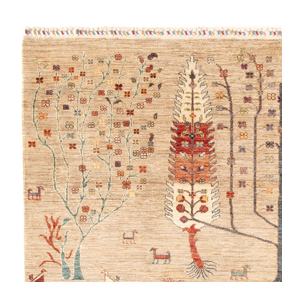 Ziegler Carpet - Ariana - 285 x 207 cm - lys beige