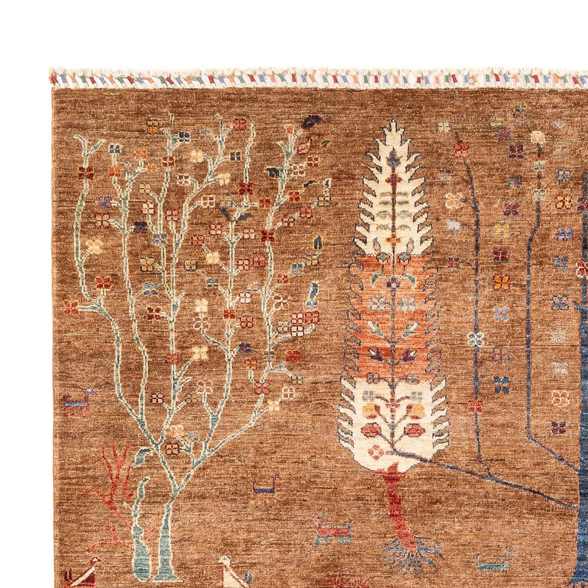 Ziegler Carpet - Ariana - 293 x 205 cm - mørk beige