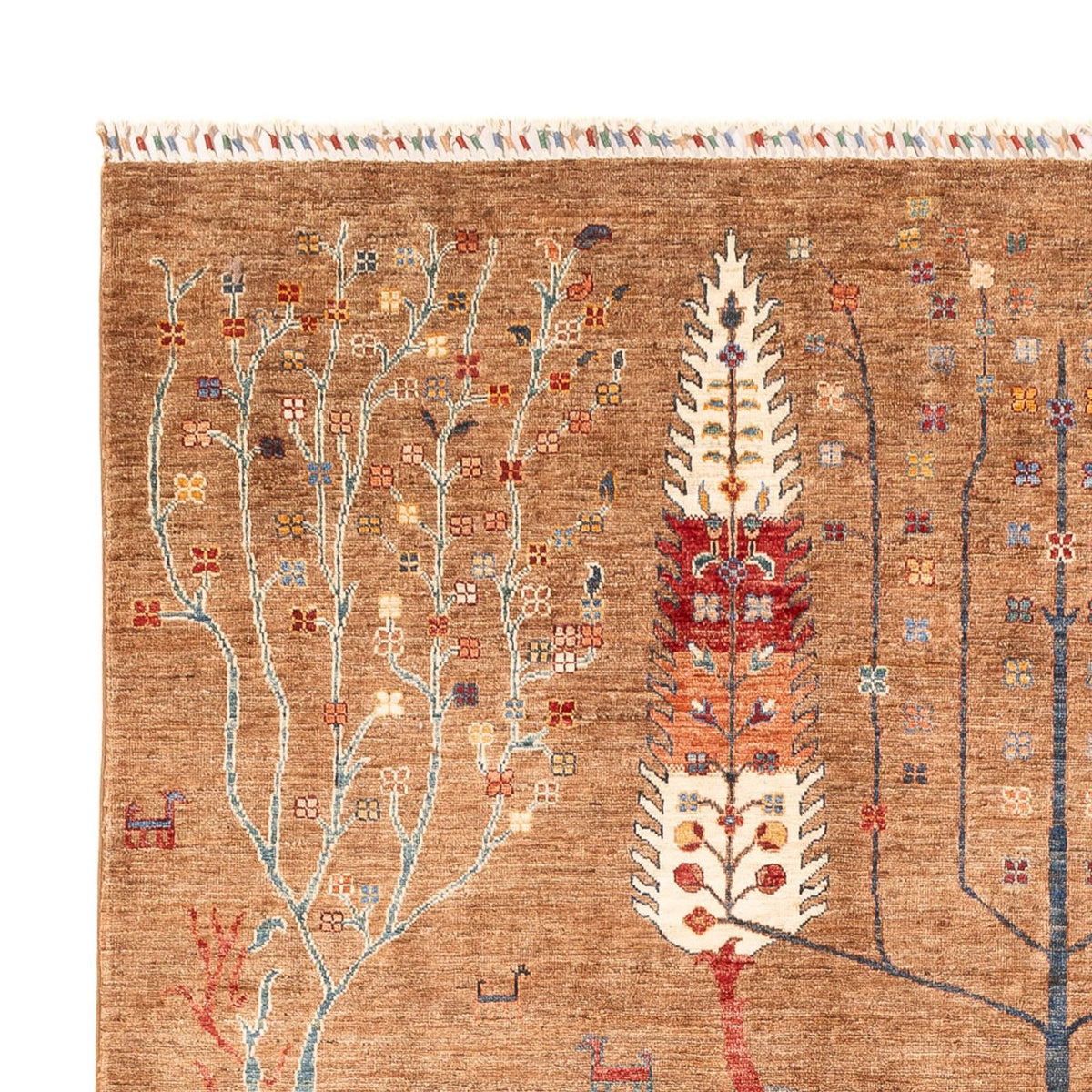 Ziegler Carpet - Ariana - 288 x 204 cm - mørk beige