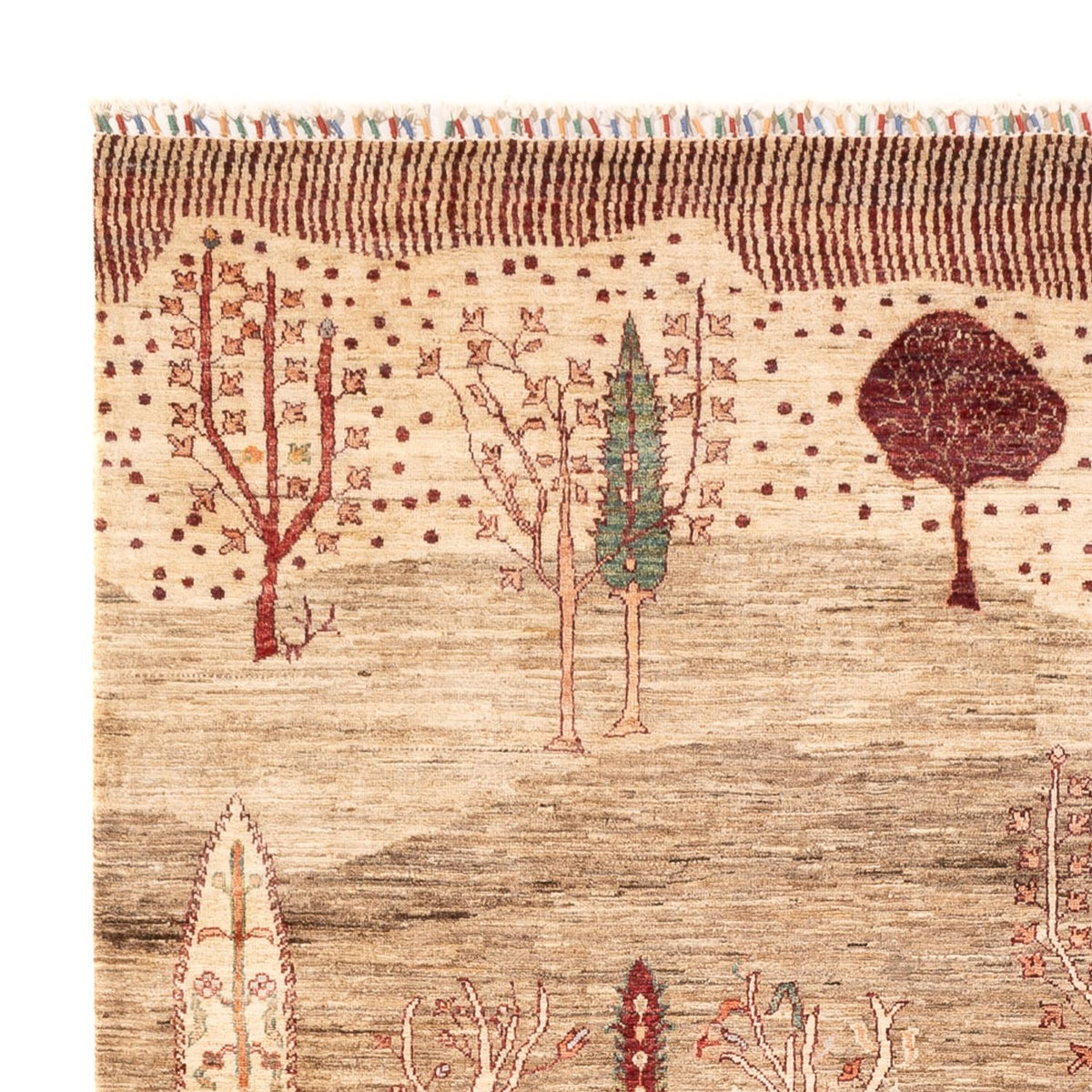 Ziegler Carpet - Ariana - 298 x 202 cm - mørk beige