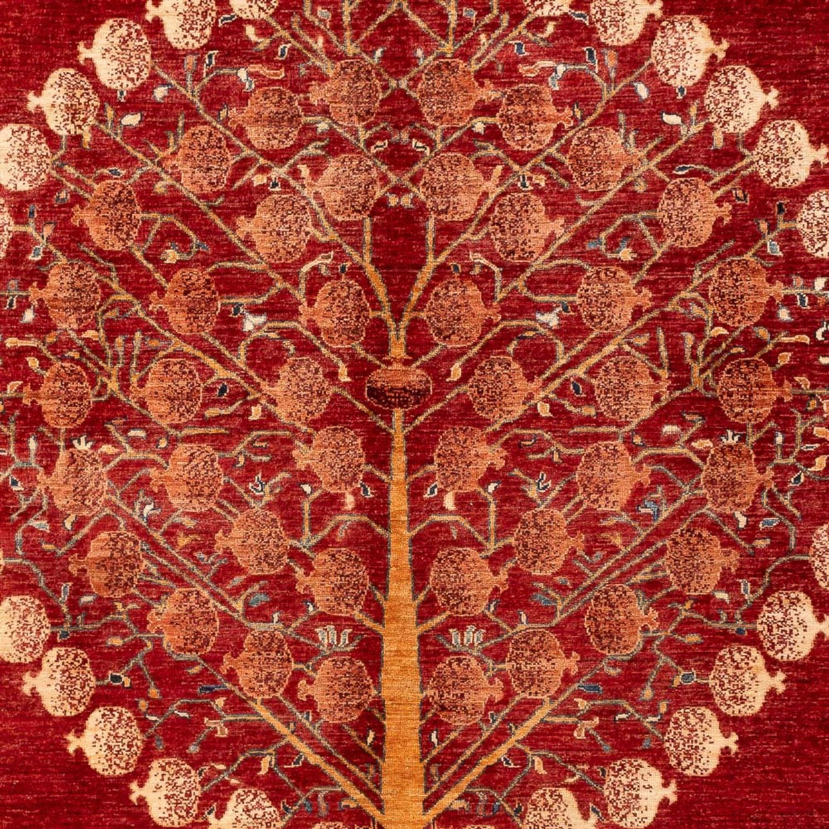 Ziegler Carpet - Ariana - 294 x 207 cm - rød