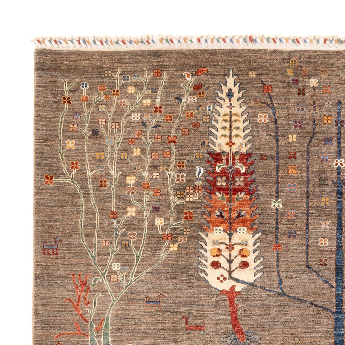 Ziegler Carpet - Ariana - 298 x 200 cm - mørk beige