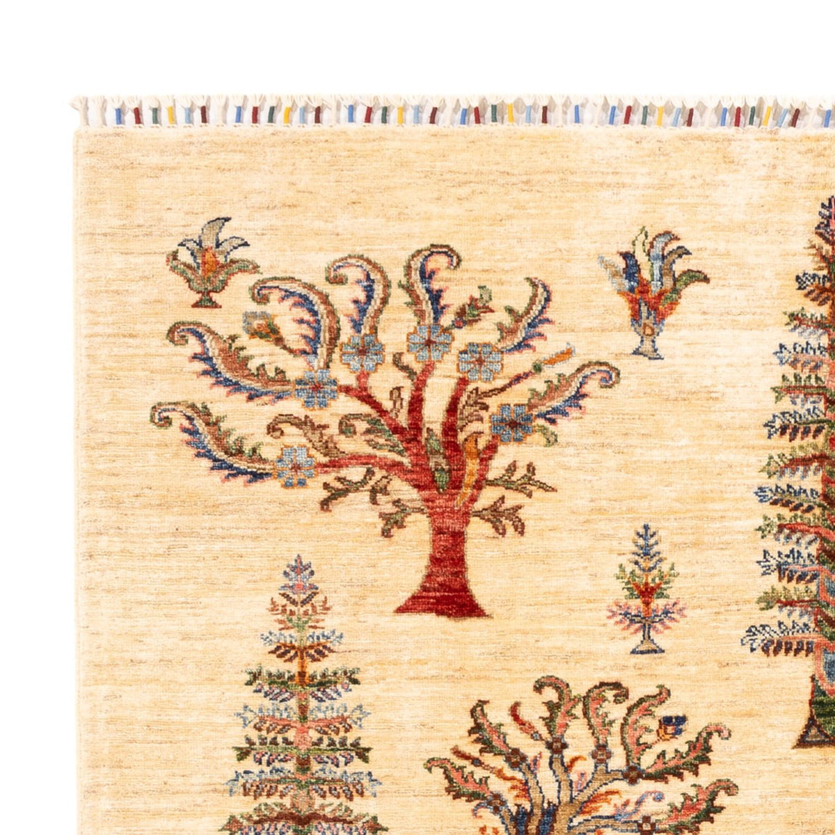 Ziegler Carpet - Ariana - 238 x 173 cm - lys beige