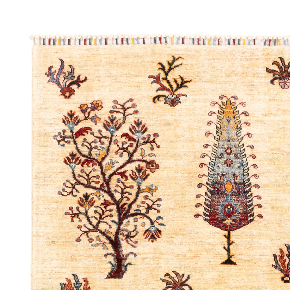 Ziegler Carpet - Ariana - 218 x 170 cm - lys beige