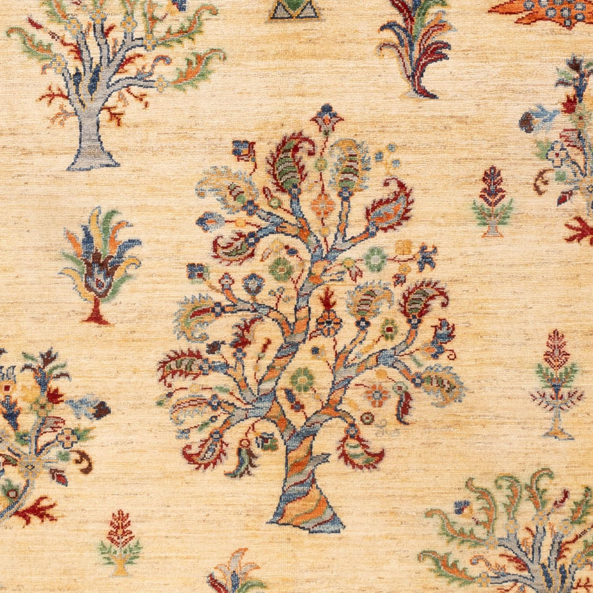 Ziegler Carpet - Ariana - 244 x 172 cm - lys beige