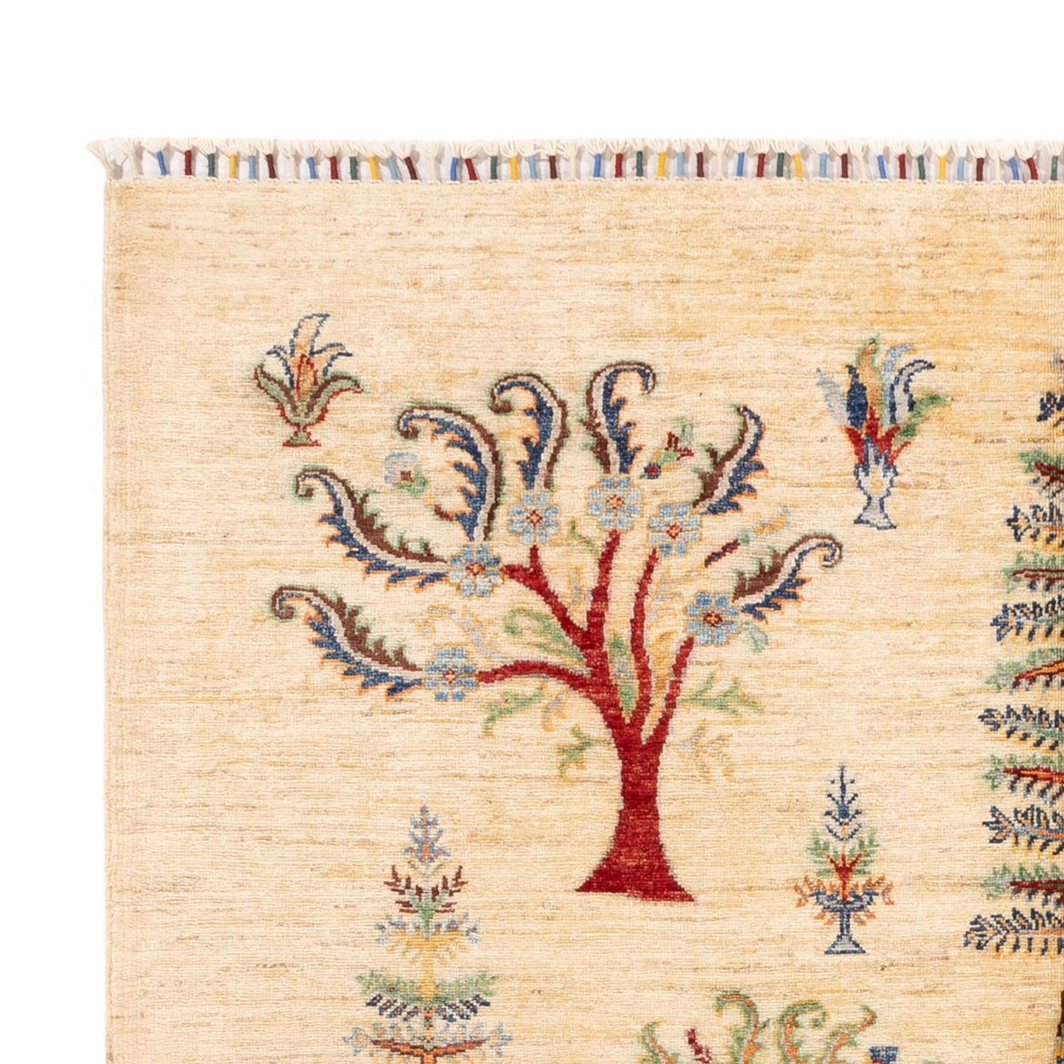 Ziegler Carpet - Ariana - 244 x 172 cm - lys beige