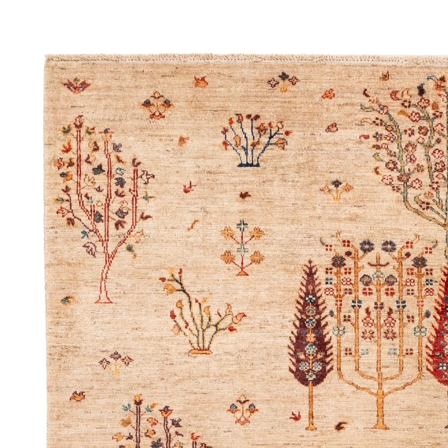 Ziegler Carpet - Ariana - 246 x 171 cm - lys beige