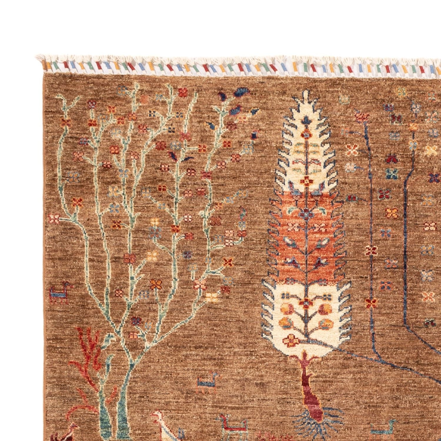 Ziegler Carpet - Ariana - 240 x 171 cm - brun