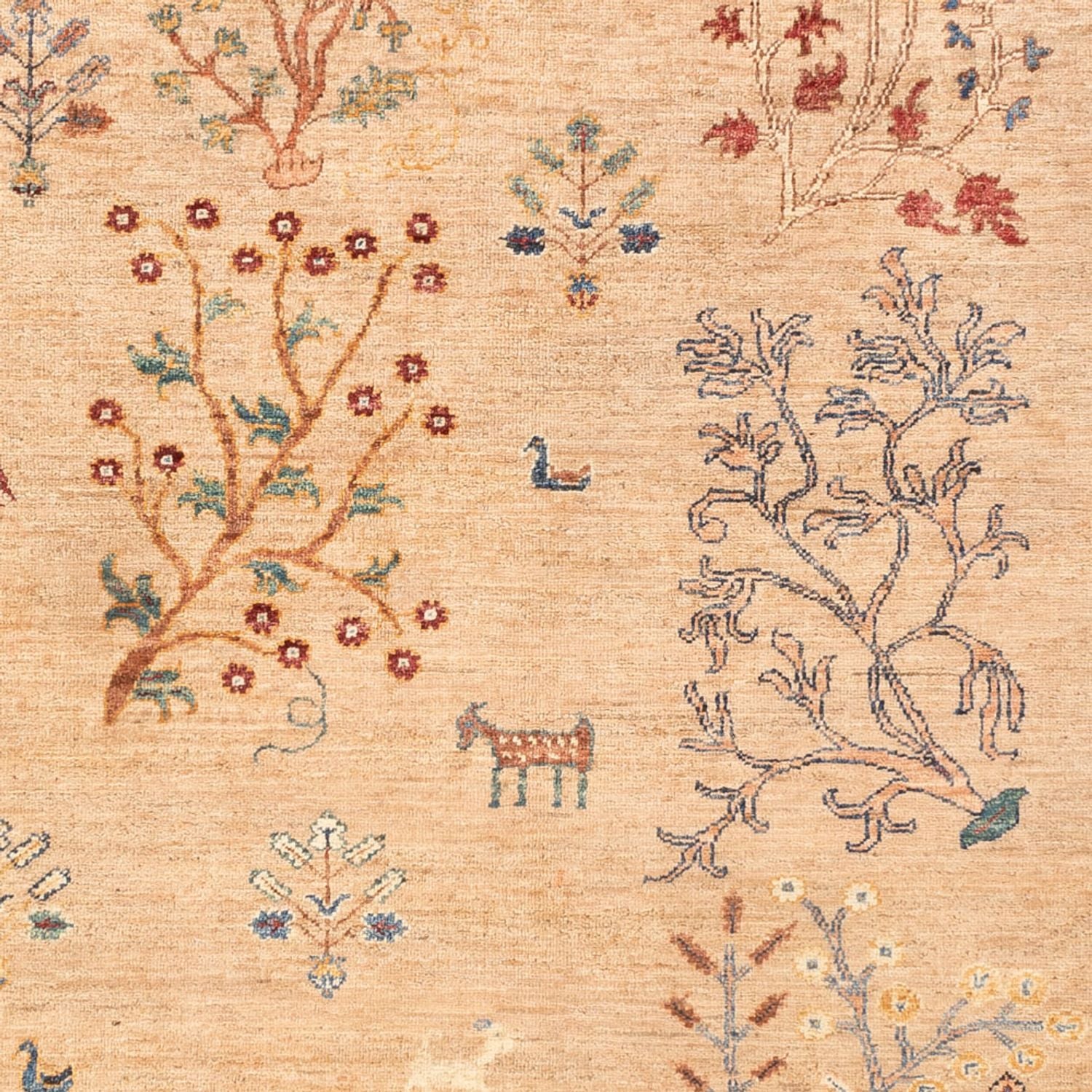 Ziegler Carpet - Ariana - 241 x 171 cm - lys beige