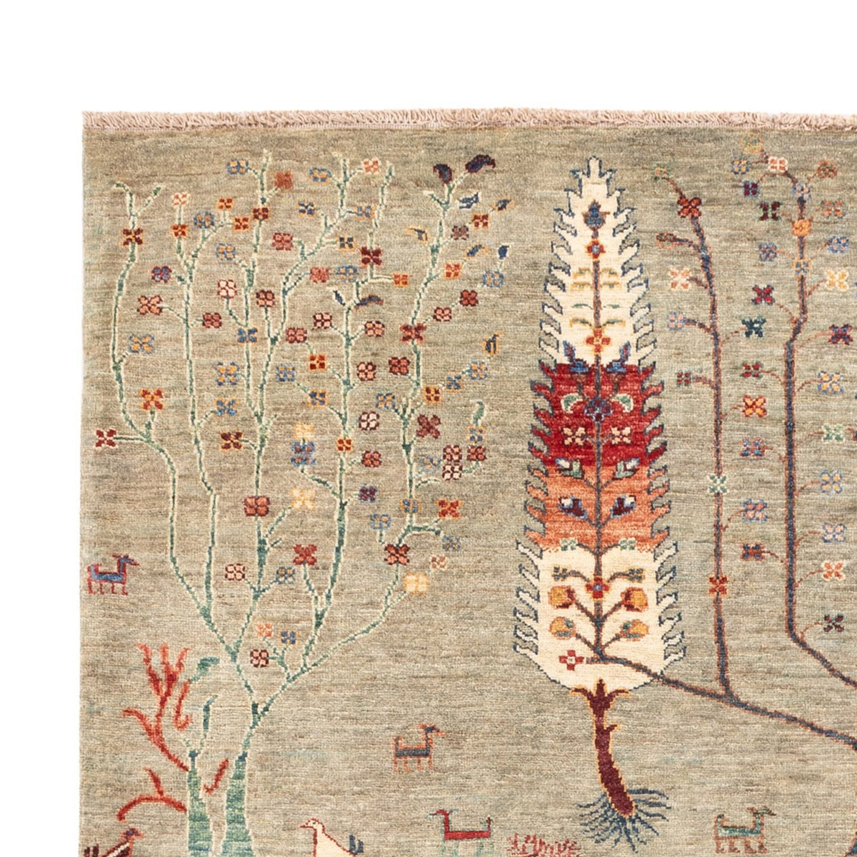 Ziegler Carpet - Ariana - 244 x 173 cm - sand