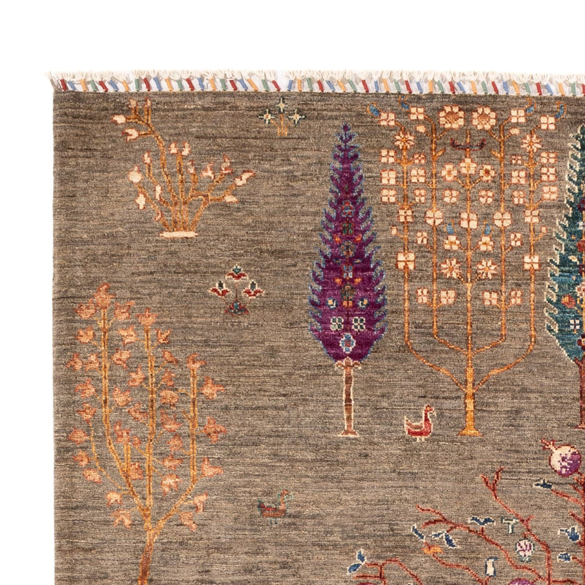 Ziegler Carpet - Ariana - 245 x 172 cm - mørk beige