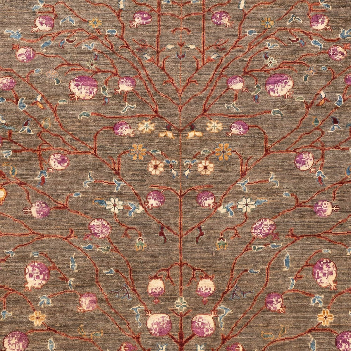 Ziegler Carpet - Ariana - 238 x 173 cm - olivengrøn
